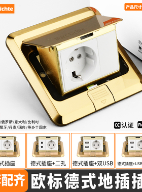 一位不锈钢插地欧盟韩国欧规金色cType双位俄罗斯USB德式德标-