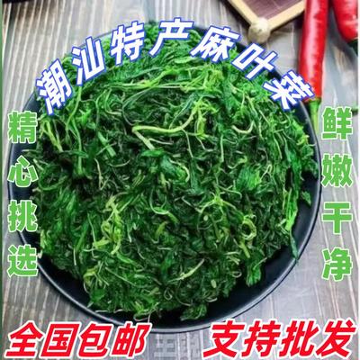 麻叶菜潮汕特产批发零售真空包装