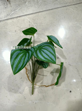 仿真仙芋叶西瓜叶海棠叶带根小植物把束湿地造景绿色水生假植物