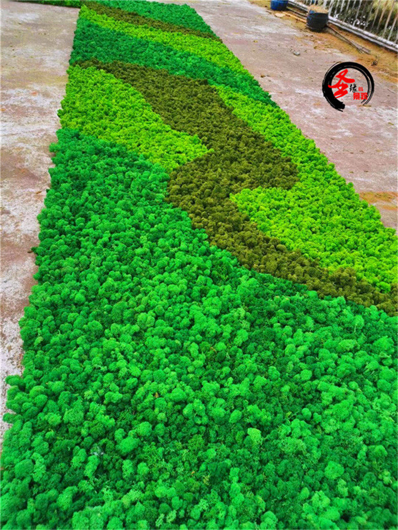 永生苔藓墙仿真青苔墙植物墙形象背景墙面装饰圆形植物墙挂壁花艺