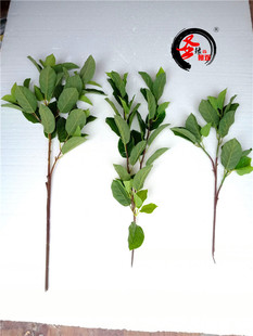 仿真梨树叶子假梨树树枝插叶配叶花材装饰水果果树树枝梨子树叶假