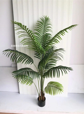 ab仿真散尾葵1.6米假竹葵树北欧大型落地盆景服装店橱窗装饰摆件