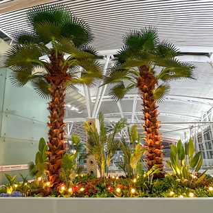 大型仿真棕榈树售楼处高铁站造景摆放大树扇葵树热带风仿棕树装饰