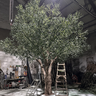 仿真油橄榄树带果玻璃钢橄榄树室内外酒店装饰树大型婚庆许愿树