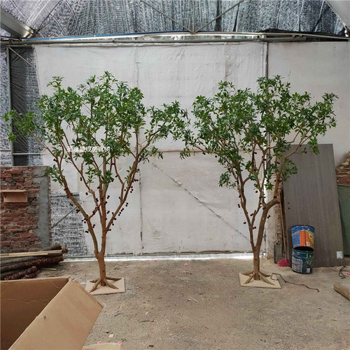 仿真嘉宝果树树葡萄珍宝果假树小硕果水果树园林工程木奶果树绿植