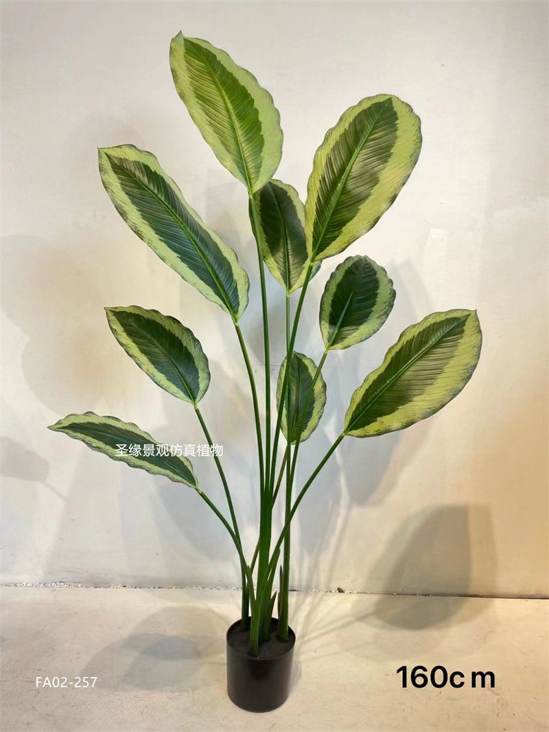 仿真青莲竹芋盆栽孔雀芋竹芋叶子植物假塑料盆栽软装布景搭配花艺