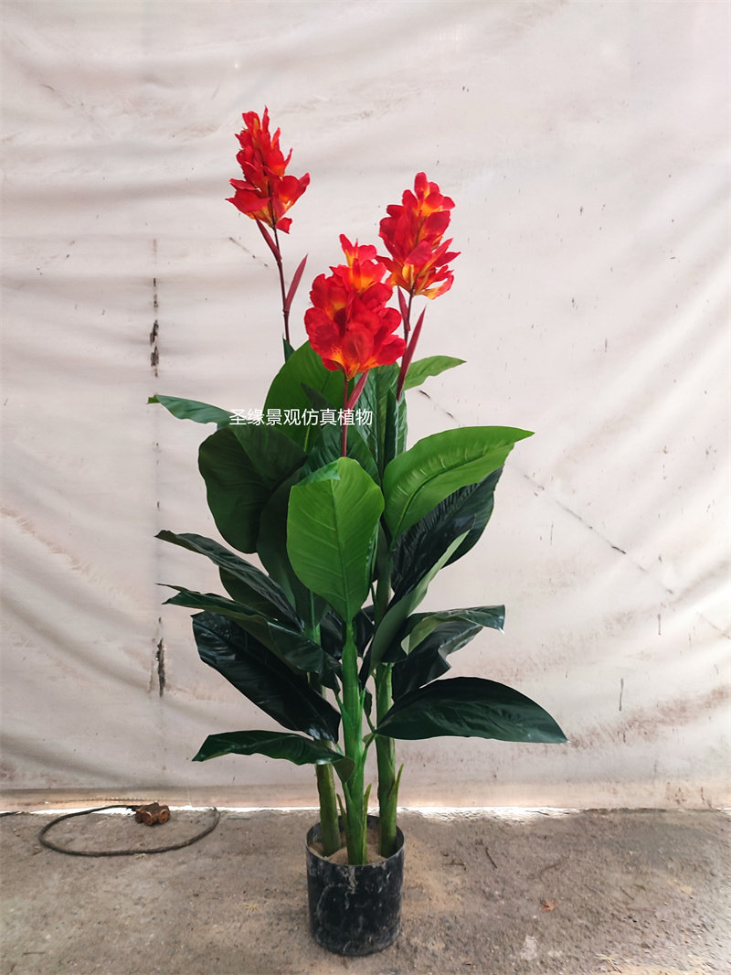 仿真美人蕉树盆栽红美人树红花黄花红艳蕉小芭蕉大型落地假绿植花
