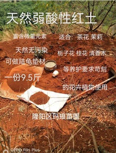 红土偏酸性红泥土养花种菜透气营养土茶花杜鹃清香木专用红土包邮