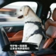 新型车载狗狗胸背防跳窗狗胸背防爆冲中大型犬狗狗牵引绳宠物牵引
