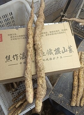 细弯扁丑铁棍山药，地硬长不动，温县铁棍山药古法种植