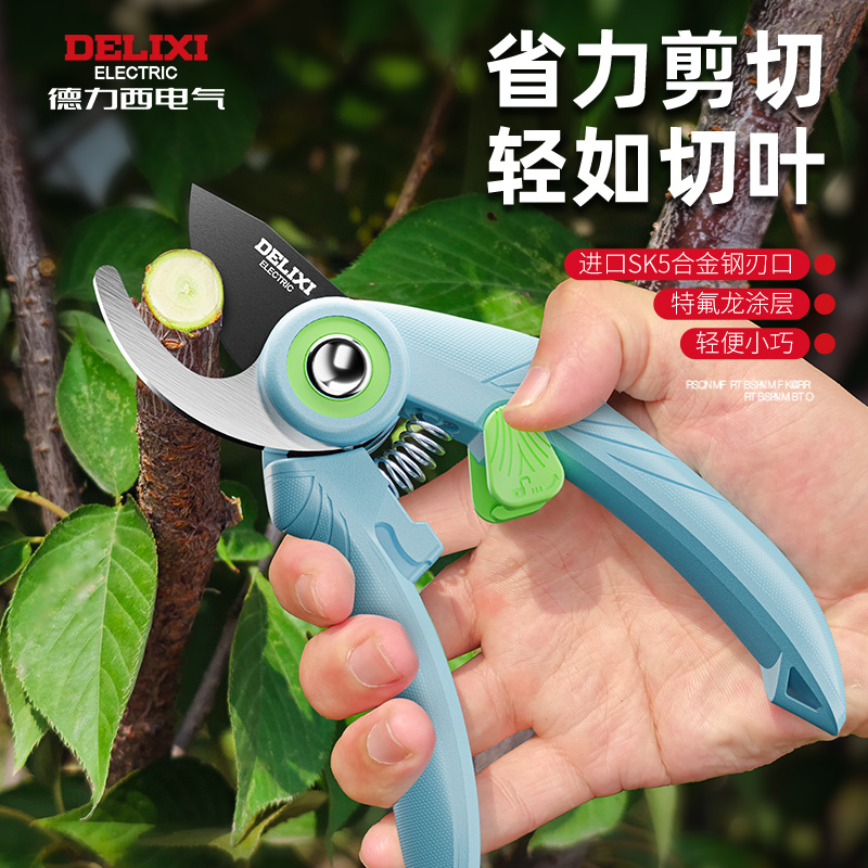 德力西园艺剪刀修剪园林剪树枝专用剪刀果树枝剪花艺剪枝修枝剪