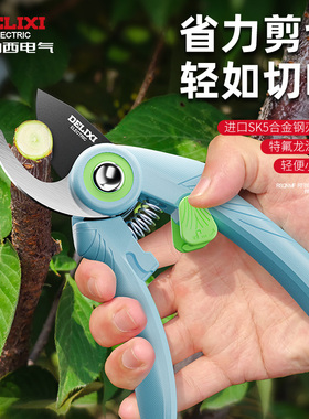 德力西园艺剪刀修剪园林剪树枝专用剪刀果树枝剪花艺剪枝修枝剪