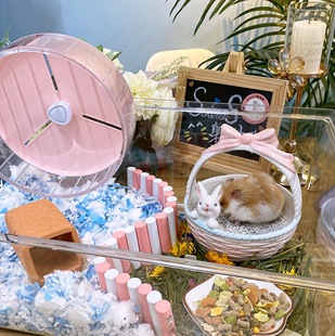 陶土隧道耐啃实用 仓鼠金丝熊造景佈景围栏木栏花草垫料纸棉棉球