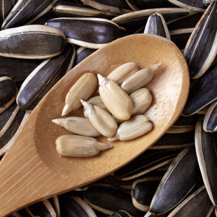 生瓜子葵花籽新货薄皮363特大颗粒5斤内蒙古散装新鲜现炒原味瓜子