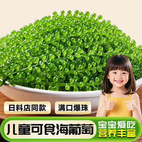 儿童海葡萄即食小孩吃的健康零食盐渍海葡萄新鲜水葡萄