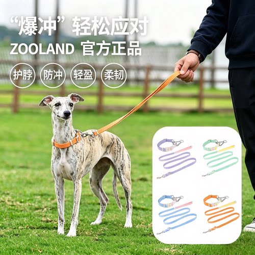 ZOOLAND中大型犬防爆冲项圈