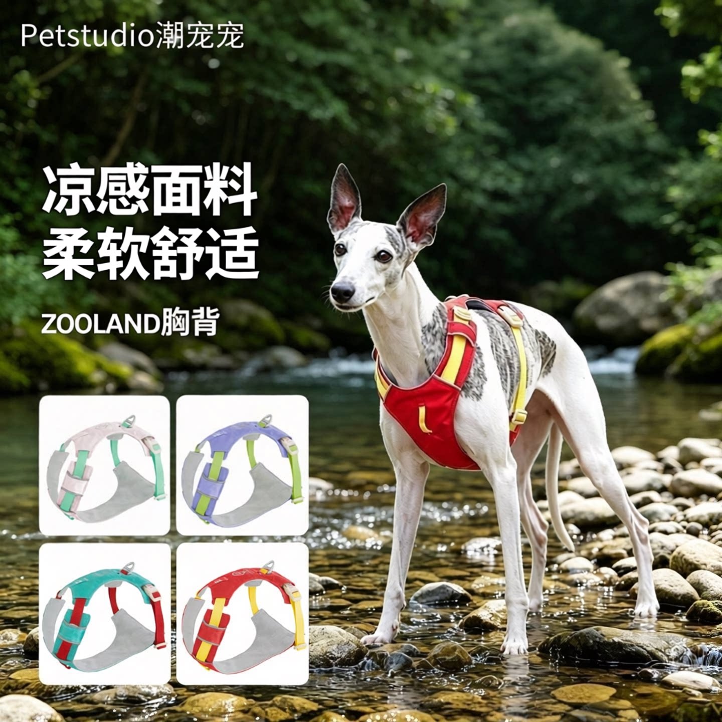 ZOOLAND工字型胸背牵引绳防挣脱图片