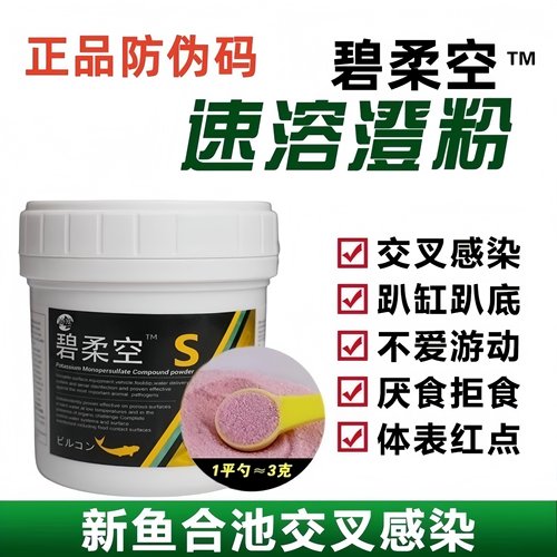 协宠碧柔空鱼锦鲤交叉感染橙粉金鱼合池缸趴缸充血烂身水质稳定