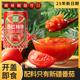 新疆特产笑厨沙瓤西红柿块番茄块番茄丁无添加零脂肪调味非番茄酱