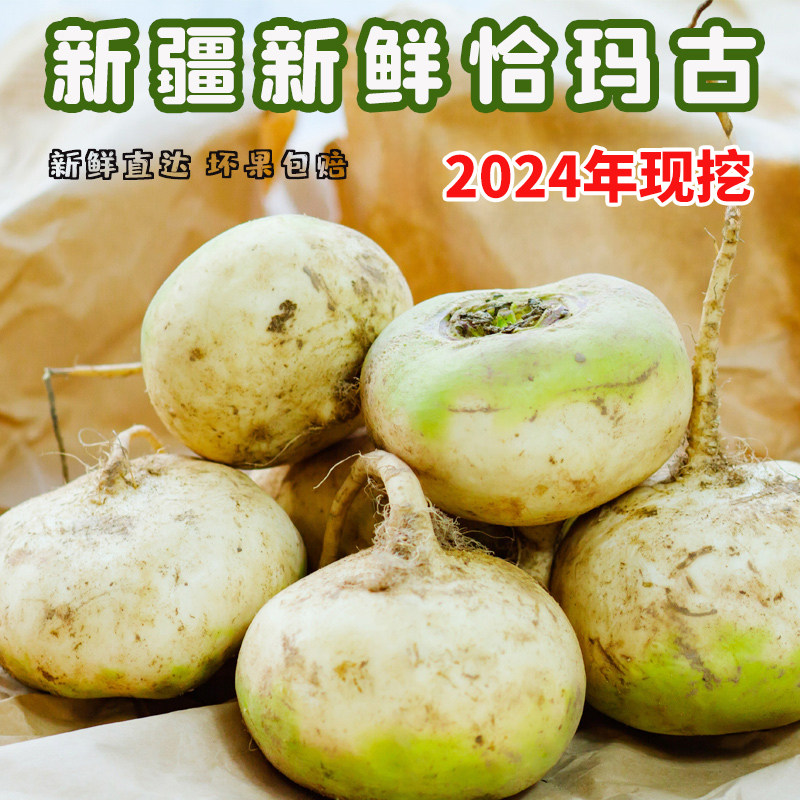 新疆土特产新鲜恰玛古当季蔓菁疙瘩蔬菜正宗农产品芜青土萝卜美食