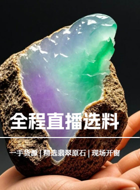 天然翡翠原石老坑料奇石直选