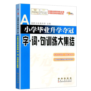 小学毕业升学夺冠字词句训练大集结 小学小升初语文基础知识大全资料包运用好字好词好句好段专项训练辅导资料小考系统总复习