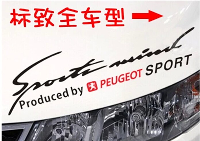 东风标致改装专用灯眉贴纸标志