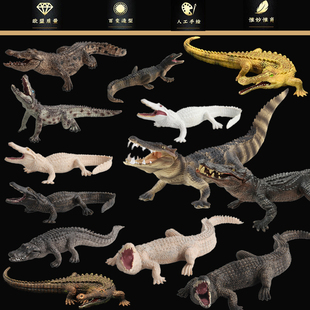 实心仿真鳄鱼模型套装 尼罗鳄扬子鳄野猪鳄短吻鳄动物玩具帝鳄