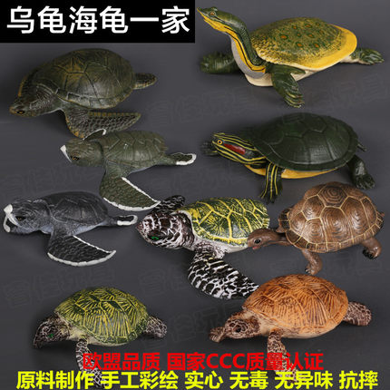 正品儿童仿真海洋野生动物龟模型鳄龟海龟陆龟象龟草龟金钱龟