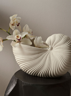 Ferm living shellpot鹦鹉螺花瓶贝壳花瓶花器
