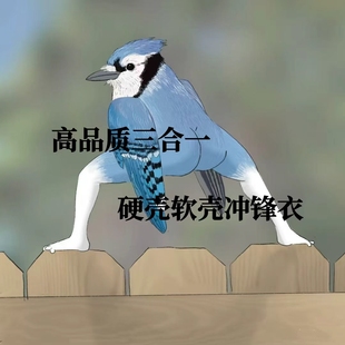 鸟家冲锋衣gamma软壳LT三合一硬壳台州鸟macai羽绒SV7 JKBeta防水