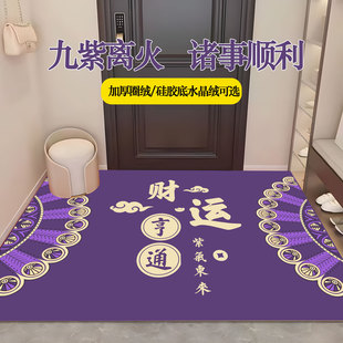 紫色门口脚垫进门入户地垫玄关圈绒加厚地毯暴富好运九紫离火垫子