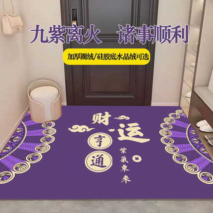 紫色门口脚垫进门入户地垫玄关圈绒加厚地毯暴富好运九紫离火垫子