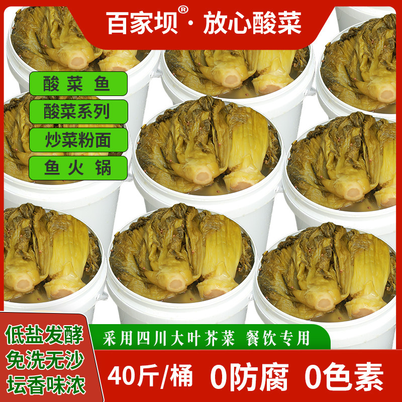 无防腐剂40斤桶装四川土坛泡鱼酸菜青菜爽脆爽口酸菜鱼配料商用