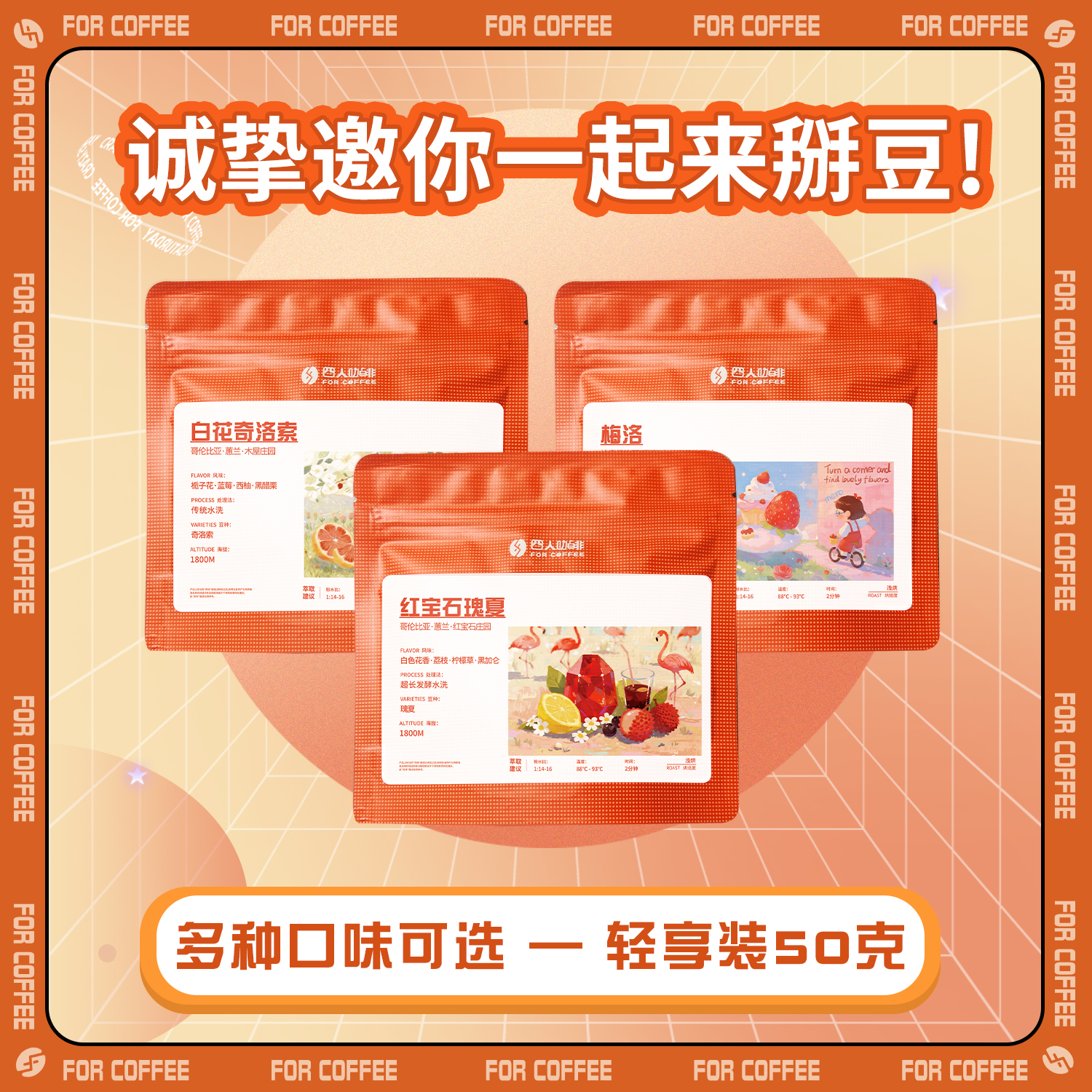 四人掰豆手冲50g咖啡豆