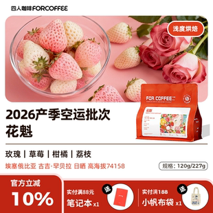 四人2026产季 227g 花魁埃塞俄比亚手冲冷萃日晒浅烘咖啡豆120