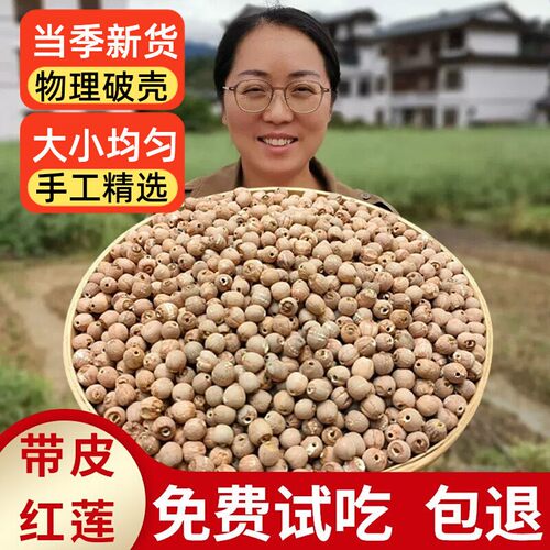 新货正宗湖南湘潭带皮红莲子无硫
