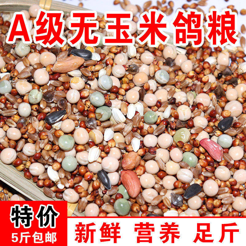 鸽粮50斤包邮高粱玉米粒
