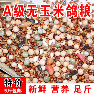 鸽粮50斤包邮高粱玉米粒