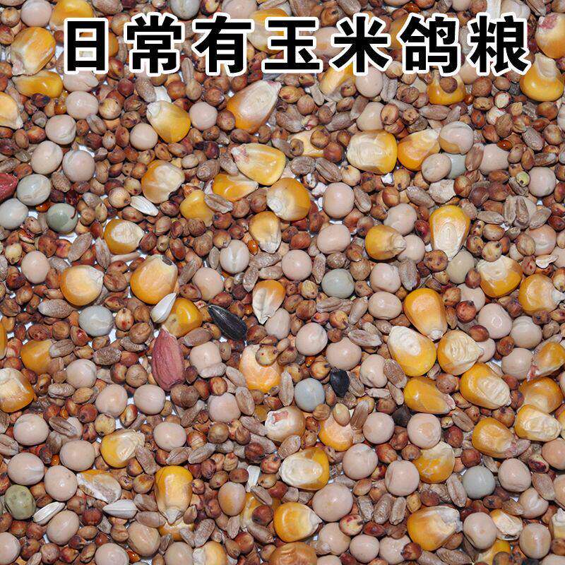50斤无玉米鸽子粮有食营