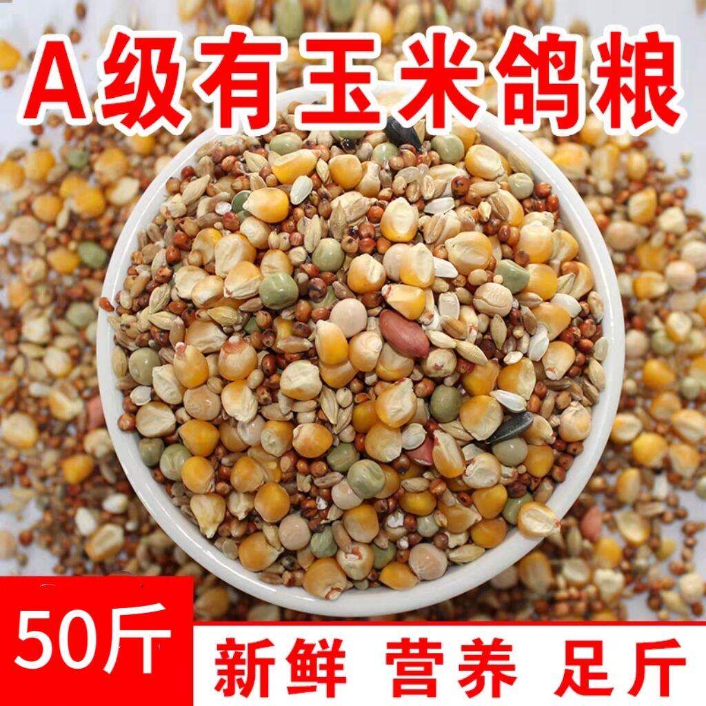 50斤鸽子粮包邮玉米小麦