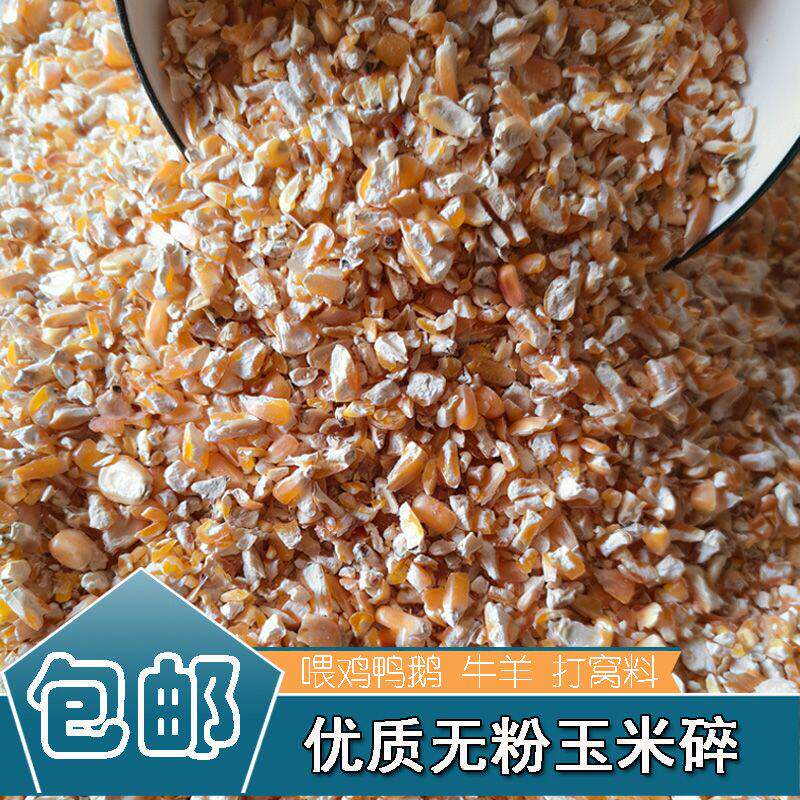 玉米碎喂鸡面粉鸡鸭鹅鸟