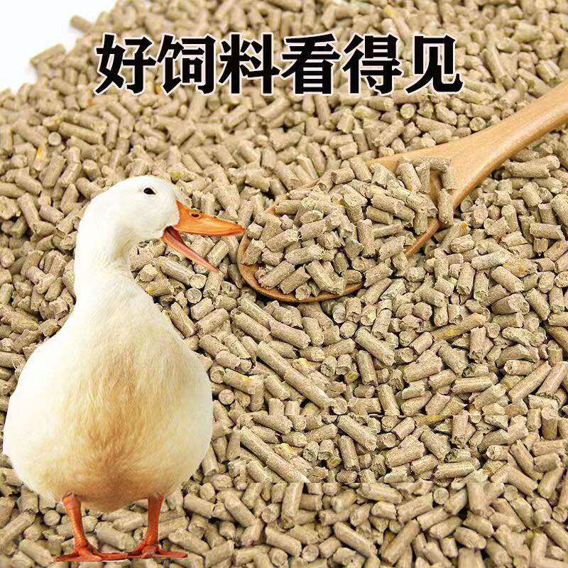 (鸭产蛋不停歇)鸡鸭鹅通