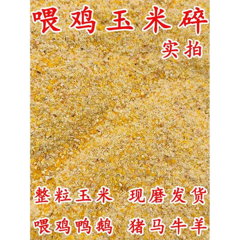 新鲜喂鸡玉米粉苞米面鸭