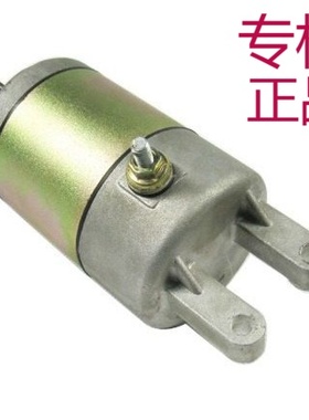 ㊣适用雅马哈250启动电机 YP250 LH250林海400 沙滩车ATV300马达