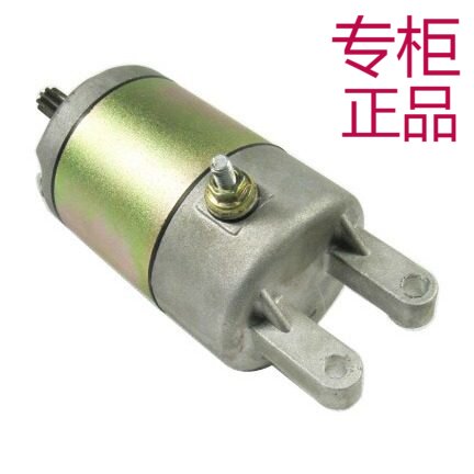 适用雅马哈250启动电机YP250LH25