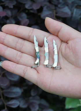 户外不锈钢迷你小刀多功能随身钥匙刀开刃拆快递手工袖珍折叠小刀