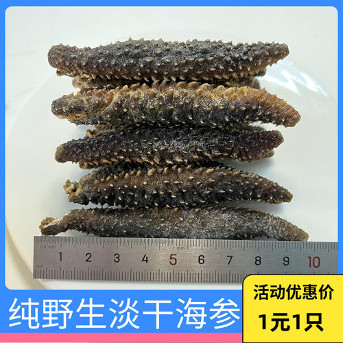 野生海参干货刺参淡干散装特价