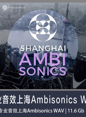 专业音效上海Ambisonics WAV免版税