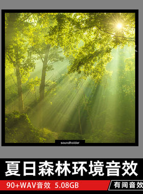 夏天森林虫鸣环境音效库 影视游戏Soundholder Summer Ambients